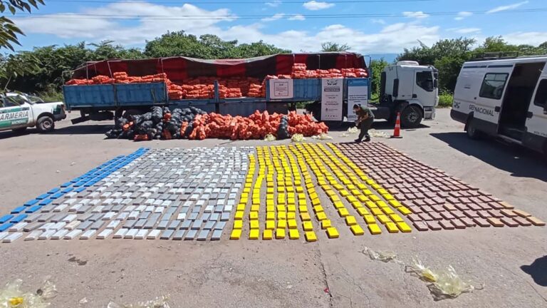 Récord de cocaína secuestrada en el NOA: casi 900 kilos en una semana