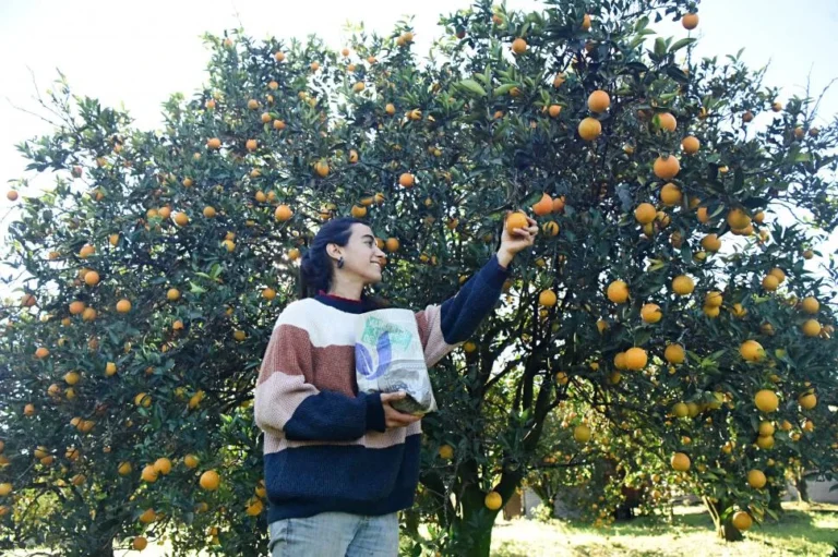 El Umbral: una finca tucumana que cultiva sin agrotóxicos y entrega sus productos en bolsas recicladas