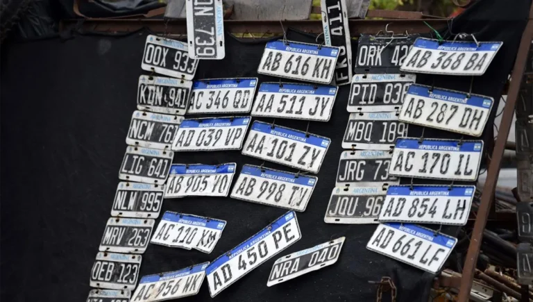 Desde septiembre se normaliza la entrega de patentes en todo el país