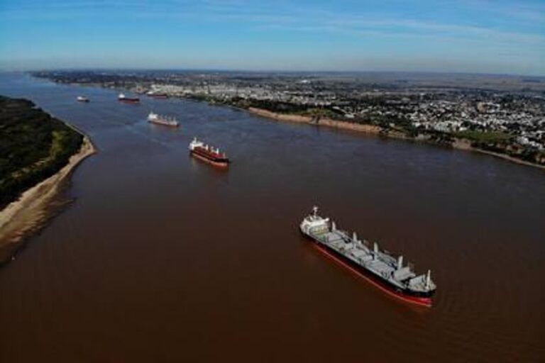 Una agroexportadora china por primera vez llena tres barcos argentinos con trigo y los manda directo