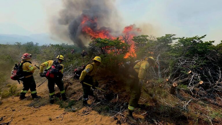 Incendios en Chubut: afirman que «son cada vez más violentos y prolongados y requieren presencia del Estado»