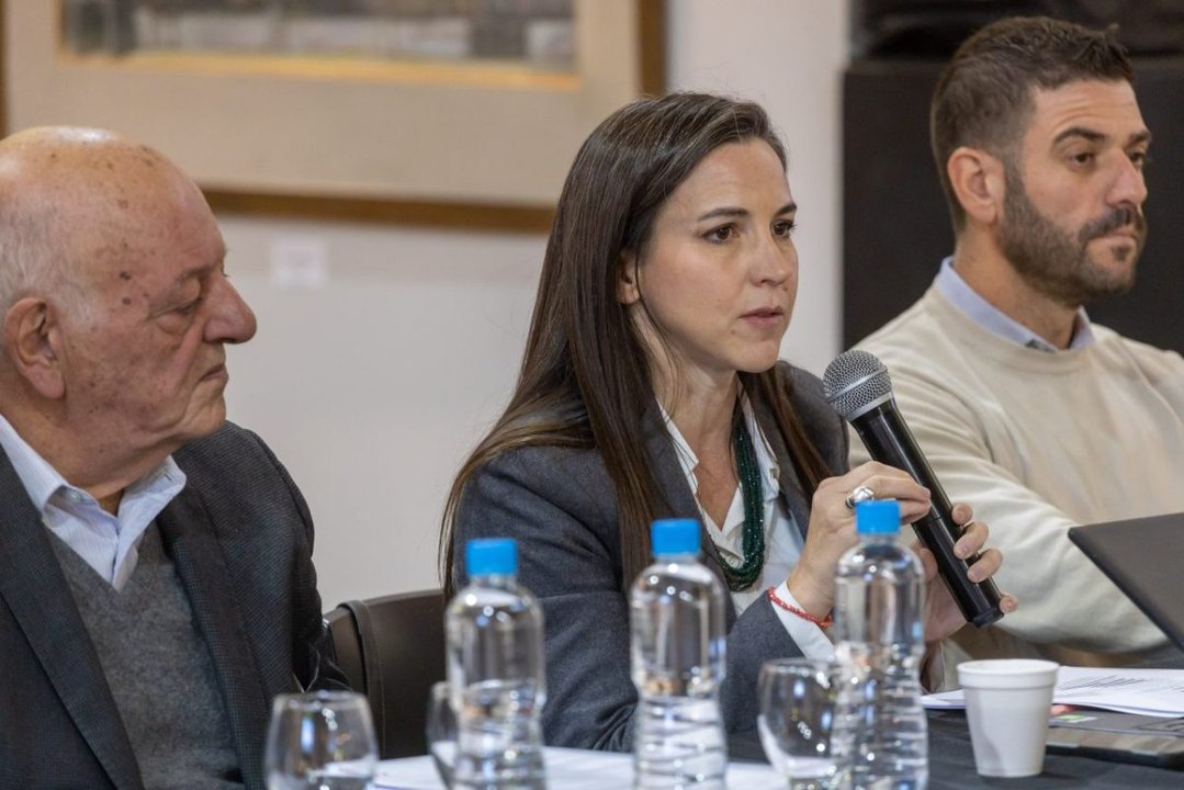 Mendoza implementa un sistema de denuncia pública contra infractores viales: ¿En qué consiste?