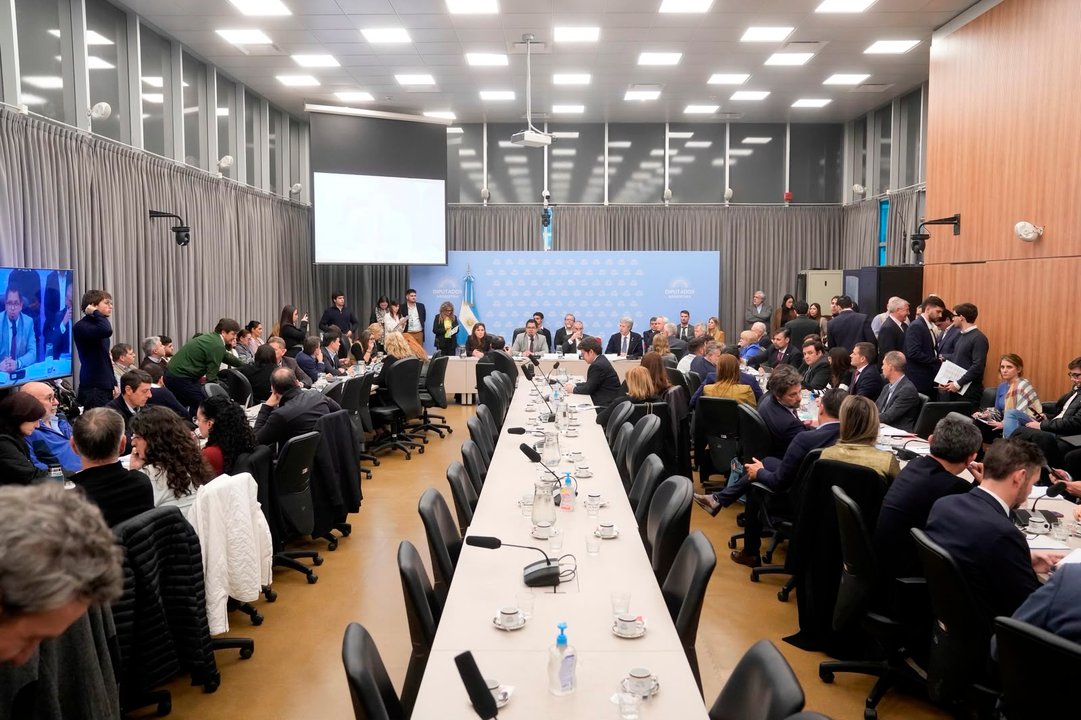 El oficialismo pone a economistas ortodoxos a defender la reforma del Banco Central y aspira a firmar dictamen
