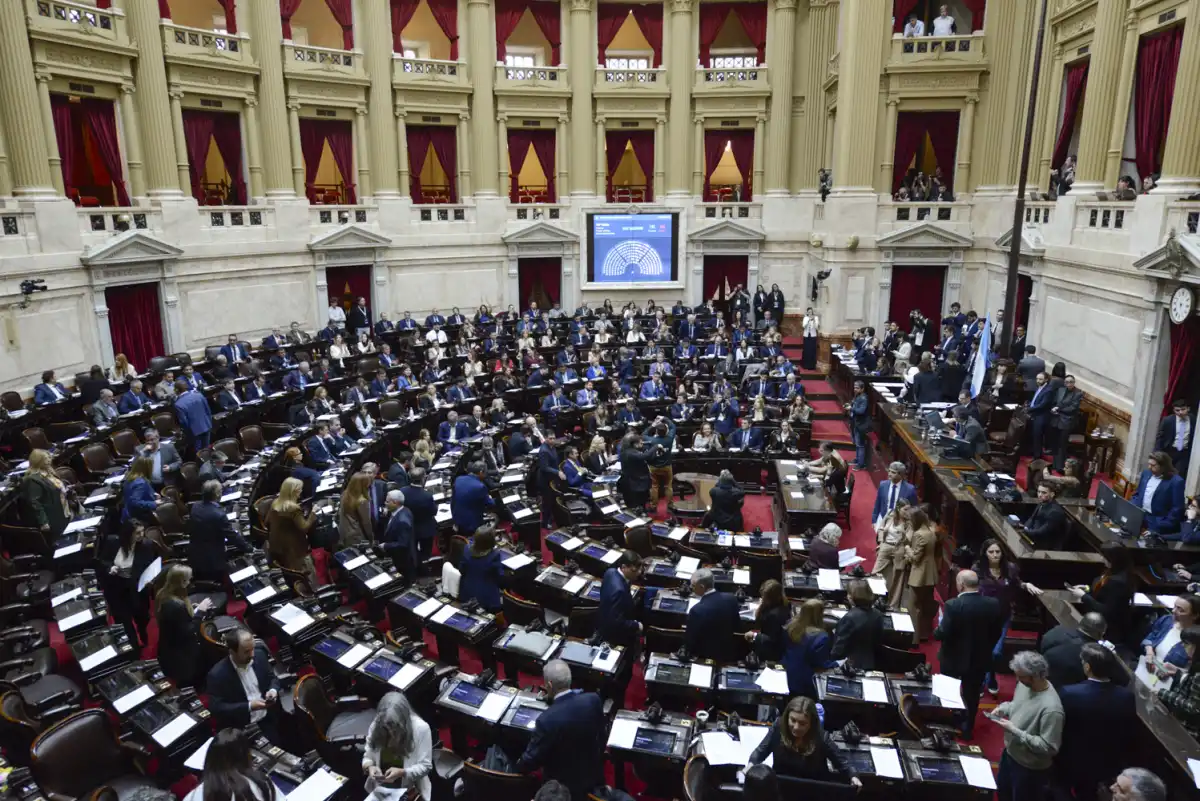 Diputados dio media sanción a la nueva ley de discapacidad tras un acuerdo clave en el Congreso