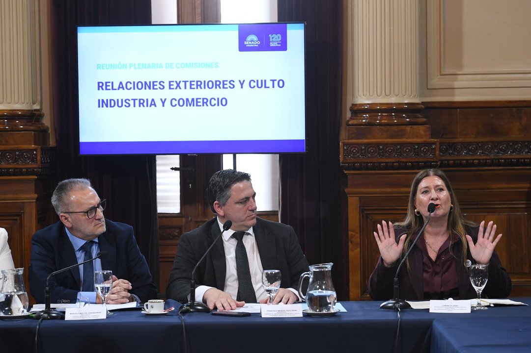 Senado dictaminó ratificar el Tratado de Patentes, pero con reservas para proteger a la industria farmacéutica